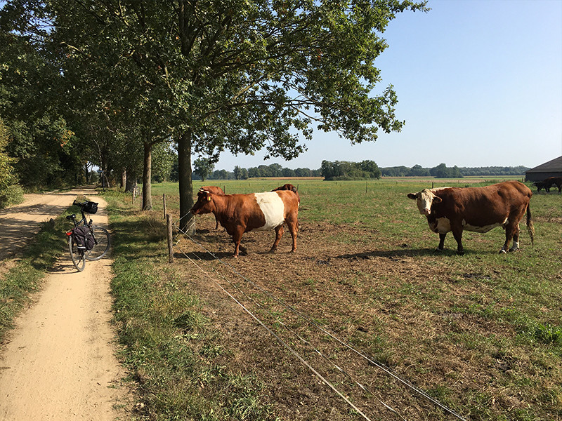 Fietsvakantie in de Achterhoek Fietsvakantie in de Achterhoek