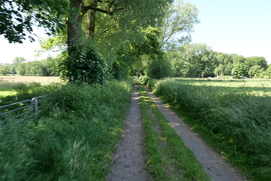 fietsvakantie de achterhoek - onderweegs in nederland fietsvakantie de achterhoek - onderweegs in nederland
