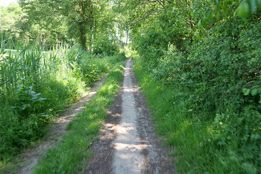 fietsvakantie de achterhoek - onderweegs in nederland fietsvakantie de achterhoek - onderweegs in nederland